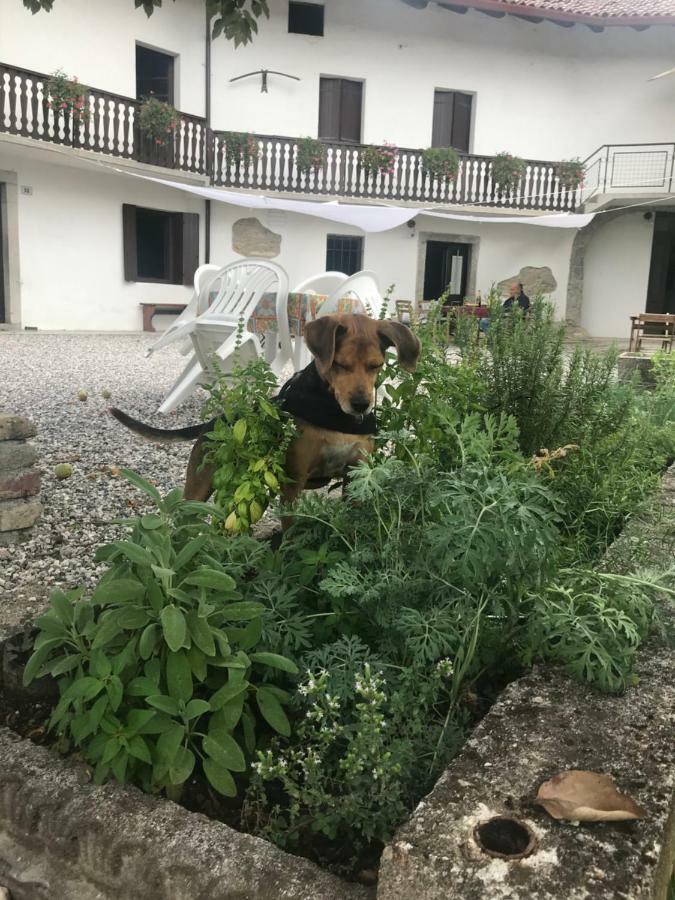 Fragole E Menta Hotel Attimis Екстериор снимка